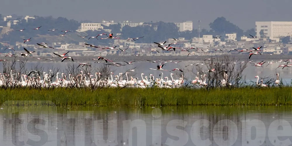 Berges du lac Sijoumi : un projet de développement durable et intégré