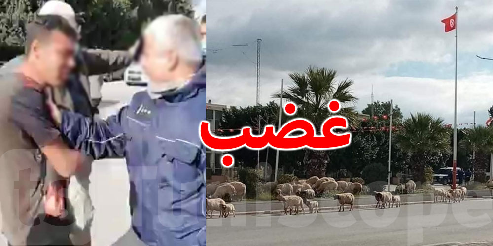 سليانة..موجة غضب بعد إهانة راعي بسبب مرور أغنامه أمام مقر الولاية
