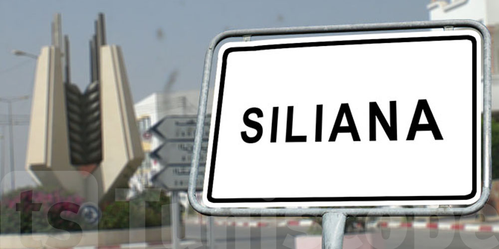 Siliana : récoltes menacées, urgence agricole