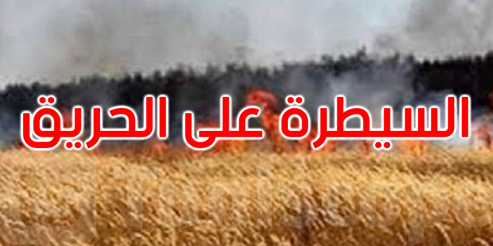سليانة: حريق يأتي على 7 هكتارات من صابة الشعير