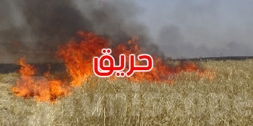 الكريب: حريق يأتي على هكتار من صابة القمح