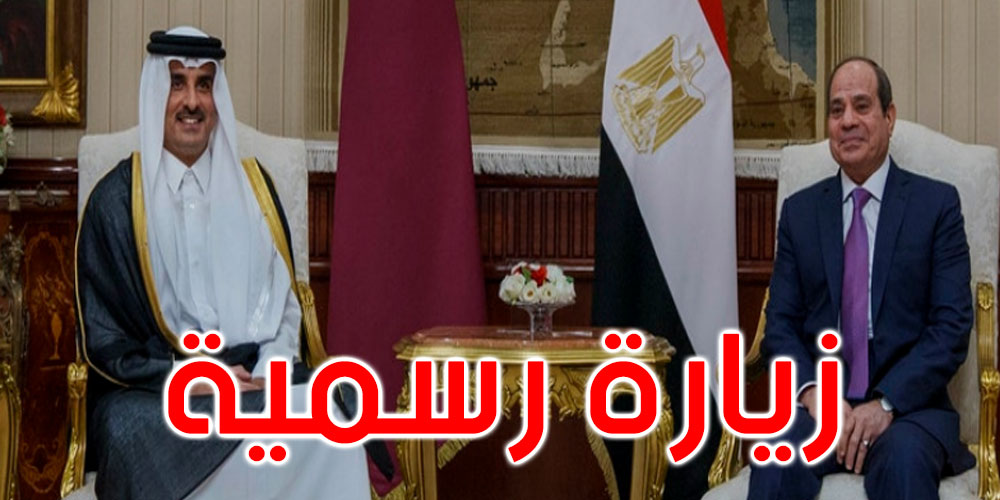 عبد الفتاح السيسي يستقبل أمير قطر في زيارة رسمية