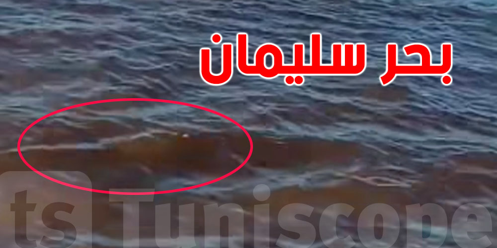 لون البحر أحمر في سليمان...شنّوة صاير؟