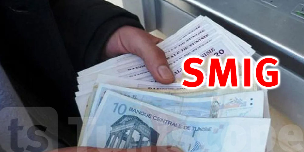 Hausse du Smig : Qui sont les bénéficiaires ?