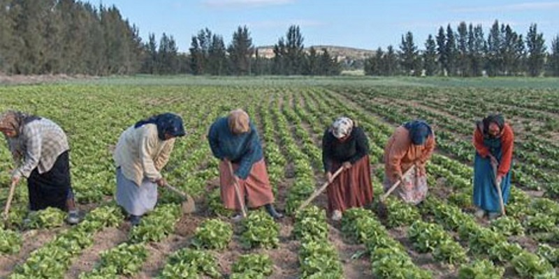 Le SMIG, le SMAG et les pension de retraite revus à la hausse