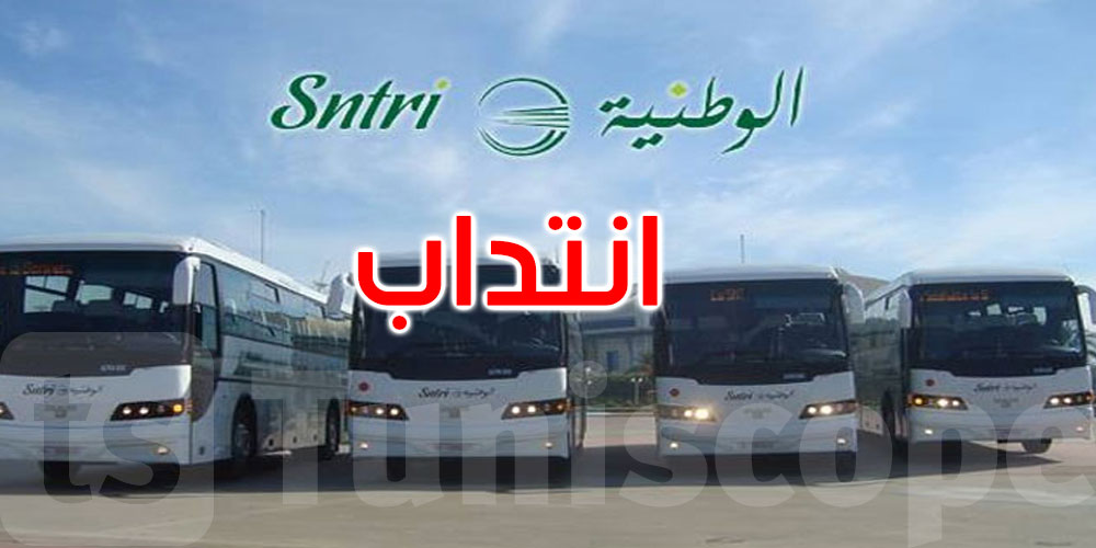 55 فرصة عمل جديدة.. النقل بين المدن تفتح باب الانتداب