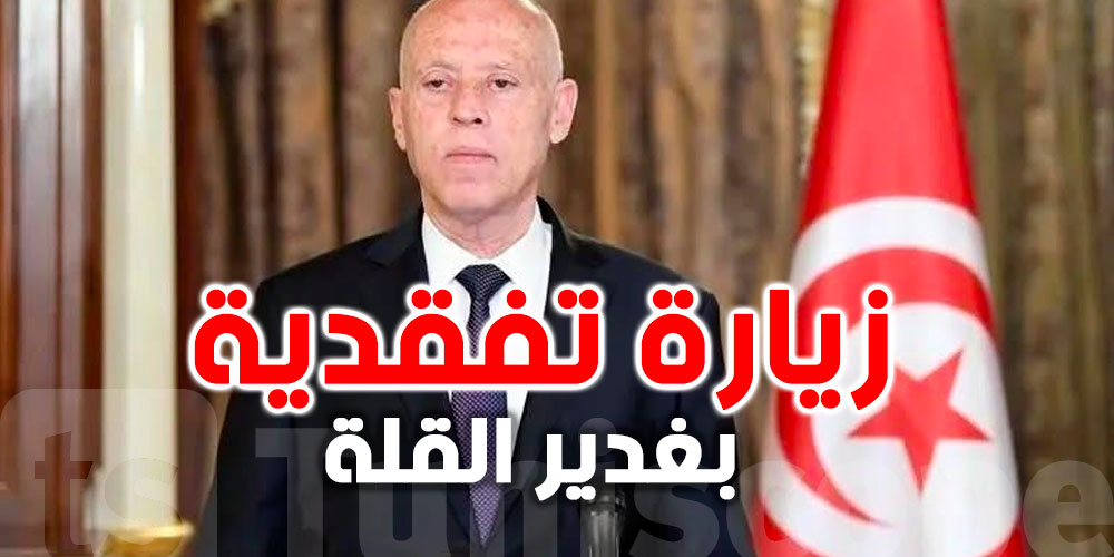 عاجل | قيس سعيّد يتفقد محطة «الصوناد» بغدير القلة لمتابعة خدمات توزيع المياه