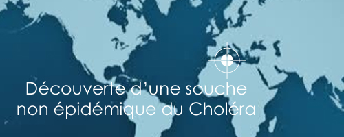 souche-1082012-1.jpg