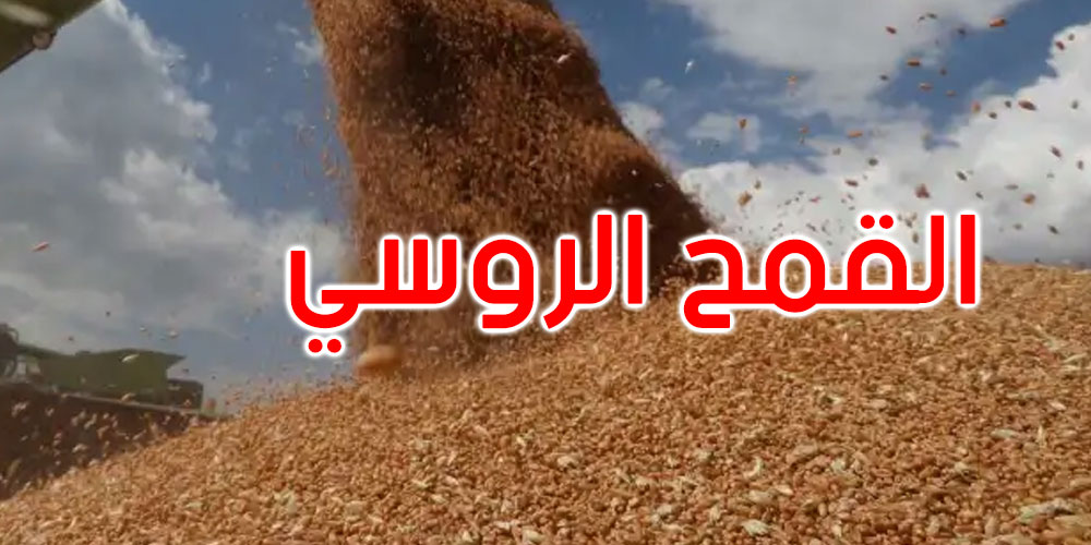 وصول 20 ألف طن من القمح الروسي مساعدة للشعب السوداني
