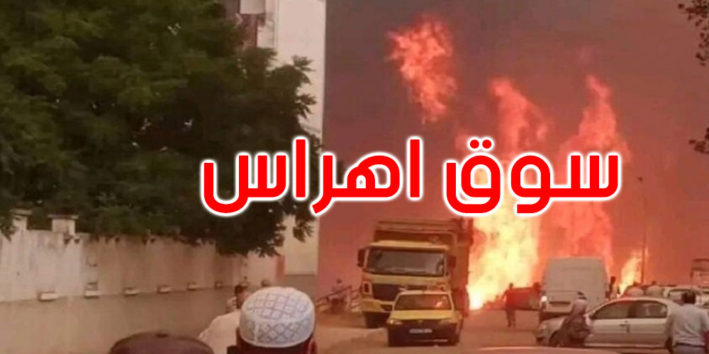 الجزائر: امتداد الحرائق لتشمل 14 ولاية وإصابة 45 شخصا بحروق في سوق أهراس