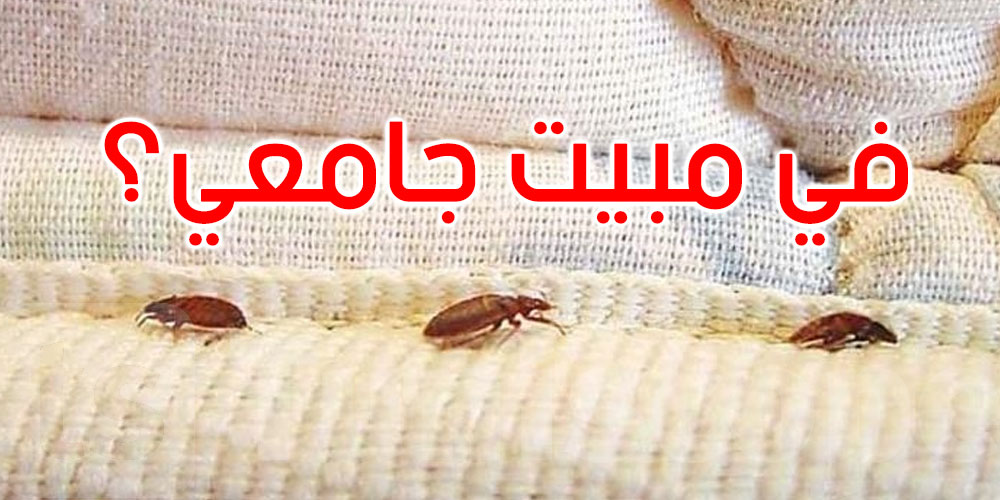 سوسة: هل ظهر بق الفراش في مبيت جامعي؟