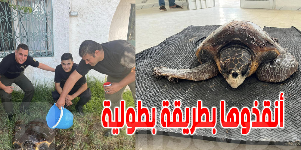 كادت أن تموت : وحدات الحرس البحري تنقذ سلحفاة  بحرية بسوسة  