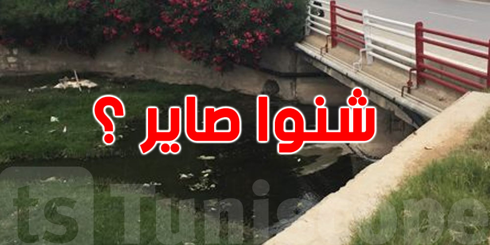 هل هناك تلوث في وادي بليبان؟ ديوان التطهير يوضح