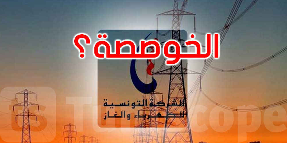 كاتب الدولة للاقتصاد: لا نية في التفويت في الستاغ ولا في خوصصة شبكة الكهرباء