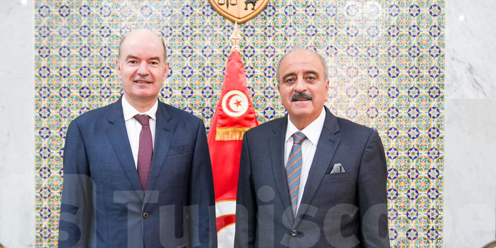 Mohamed Ali Nafti reçoit l’ambassadeur de suisse en Tunisie