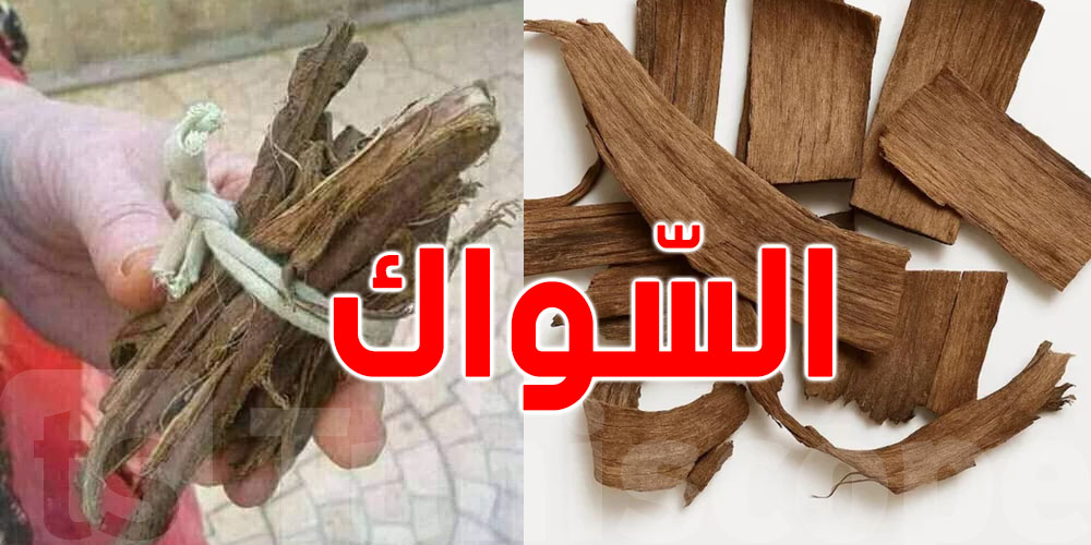 علاش ''السواك'' يُعتبر أفضل وسيلة لتنظيف الأسنان في العالم؟