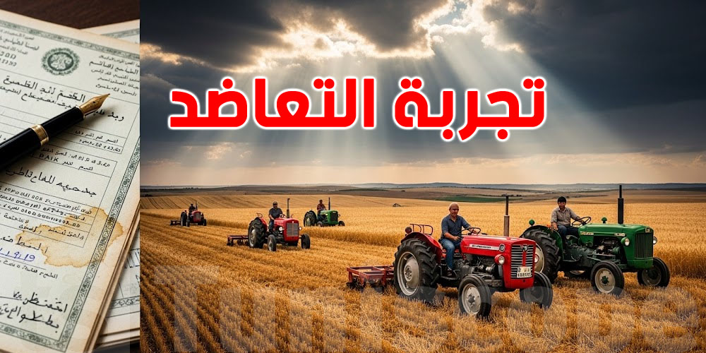 البنك الدولي موّل تجربة التعاضد في تونس… شنّوة الحقيقة اللي ما يعرفهاش برشا؟