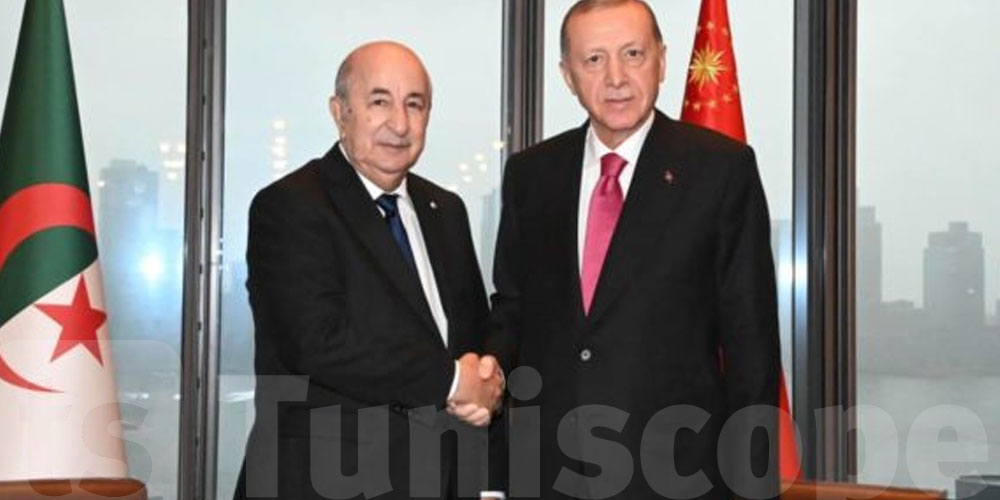 لقاء يجمع تبون بالرئيس التركي 