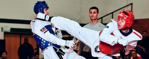 taekwondo-tn-24042013-1.jpg