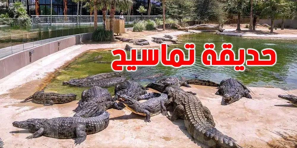 قريبا: حديقة تماسيح في صفاقس