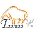 Horoscope 2010 - Taureau