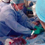 Une premiére opération d’implantation de valve aortique artificielle percutanée réussie en Tunisie