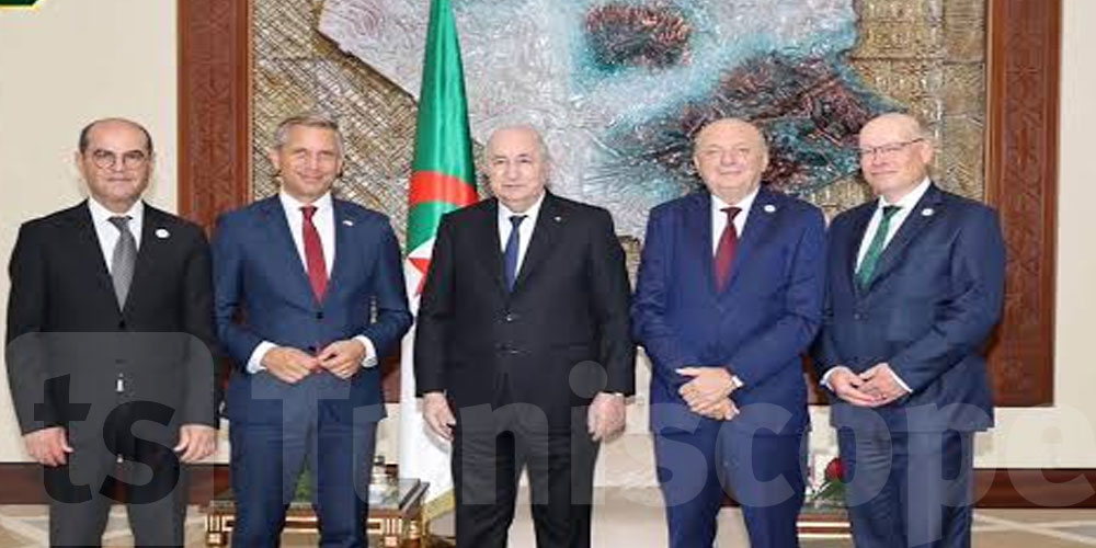 بينها تونس: تبون يستقبل وزراء 4 طاقة دول ضمن مشروع الممر الجنوبي للهيدروجين