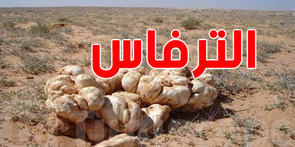 أسوام خيالية: كلغ ''الترفاس'' بـ 200 دينار