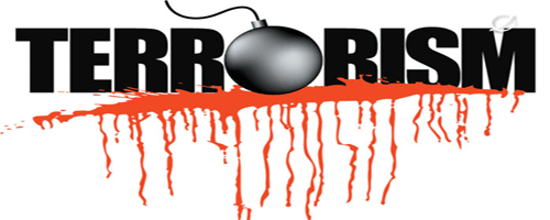 terr-250214-1.gif