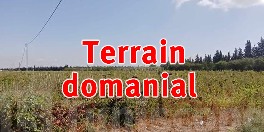 Récupération d’un terrain domanial agricole d’environ 13 ha à Zarzis