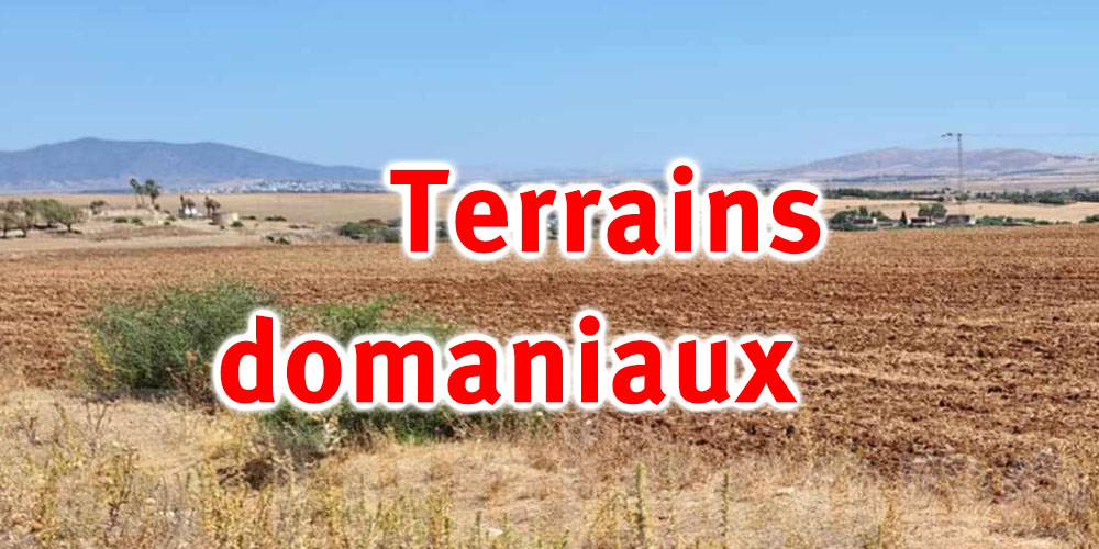 Récupération de trois terrains domaniaux agricoles à Mahdia et Tozeur