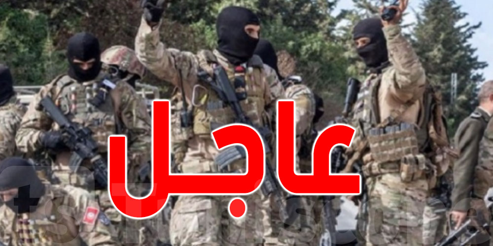 الداخلية تكشف عن عدد الإرهابيين المتحصّنين بالجبال التونسية 