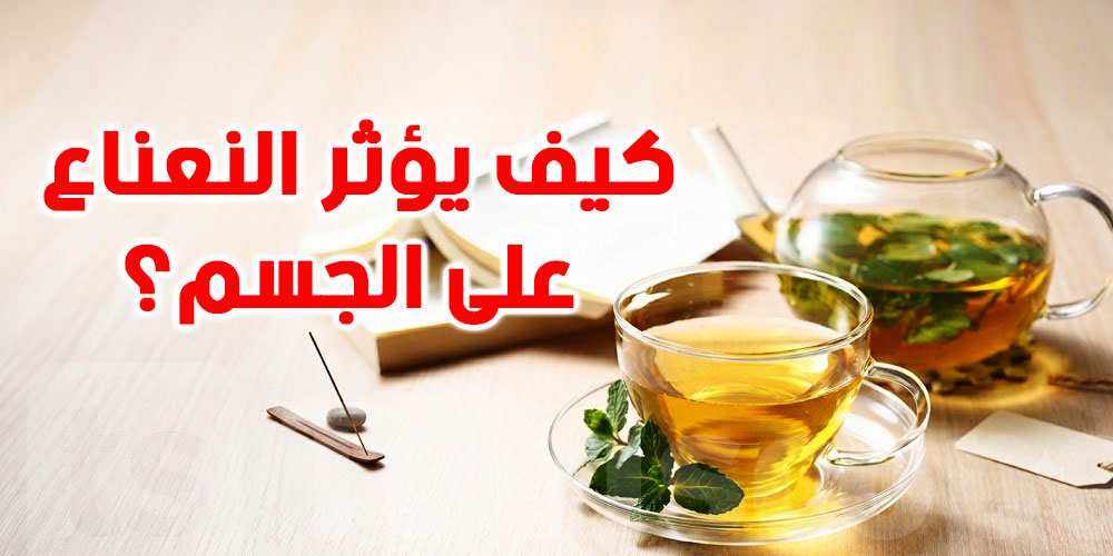من فنجان الشاي إلى تهدئة التوتر.. كيف تؤثر النعناع على الجسم؟