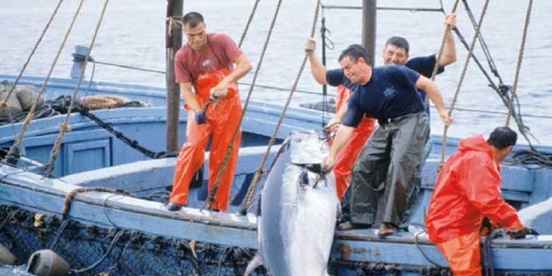 المنستير: البحارة يطالبون بحصة إضافية وبحلول جذرية في مجال صيد التن الأحمر