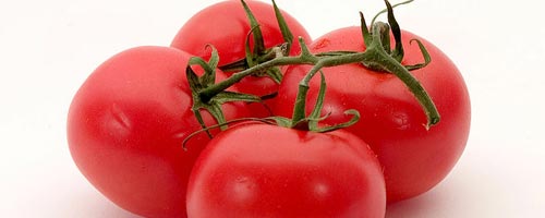 tomate-23062012-1.jpg
