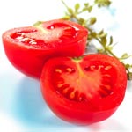 Vers une augmentation des prix des tomates 