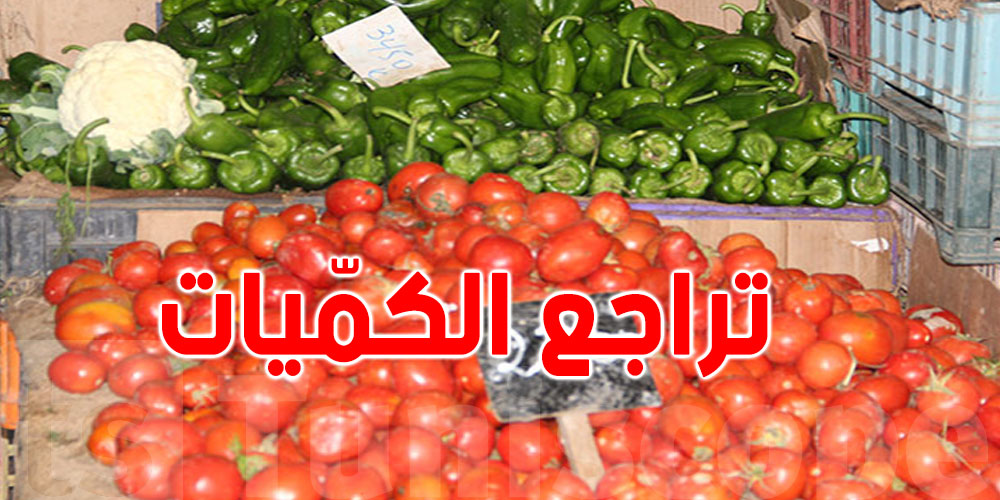 وزارة التجارة: تراجع كميات الفلفل والطماطم بالأسواق