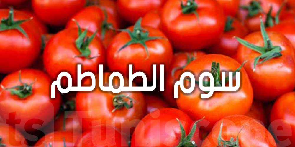 عاجل: دولة عربية ''سوم'' الطماطم فيها يرتفع بشكل مُلفت