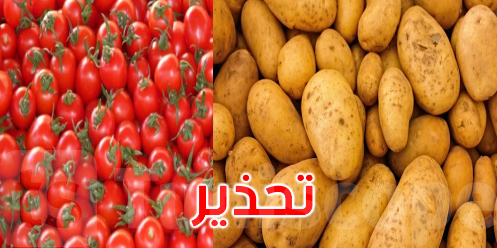 وزارة الفلاحة تحذر الفلاحين من مرض يصيب الطماطم والبطاطا