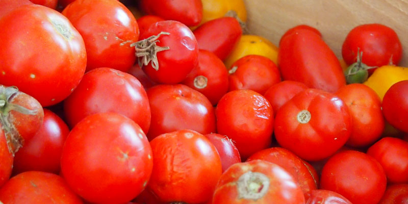 Accord de principe entre l'UTICA et l' UTAP pour la révision du prix référentiel des tomates destinées à la transformation