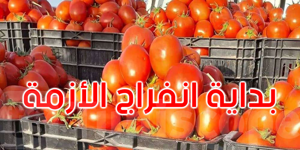 فمة أزمة متاع طماطم في الأسواق؟ هذا موعد بداية الانفراج
