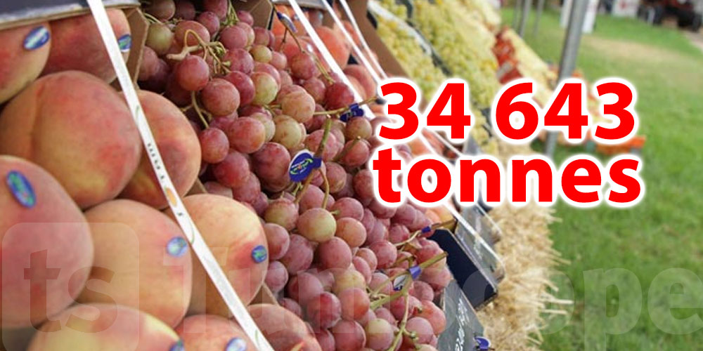 Augmentation des exportations des fruits à 34 643 tonnes