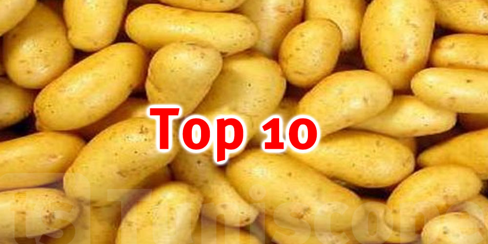 Pomme de terre : La Tunisie au top 10 des pays producteurs au monde arabe