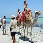 تراجع السياح الوافدين على تونس بنسبة 1.7 حتى 20 نوفمبر 2014