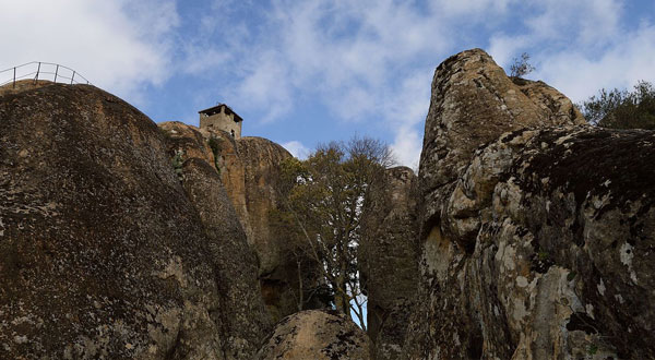 الحديقة الوطنية بدغومس الثانية عالميا من حيث التنوع البيولوجي الصحراوي