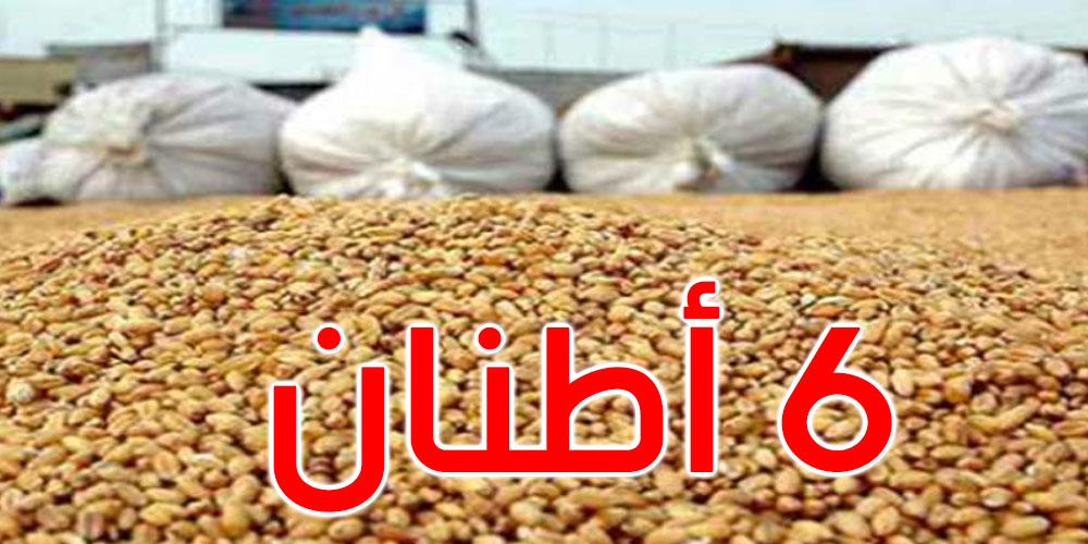 توزر: حجز 6 أطنان من الشعير العلفي وتحرير 16 مخالفة هذا الأسبوع