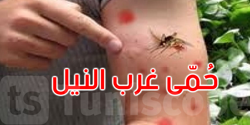 توزر: هل تم تسجيل إصابات بحمّى غرب النيل؟