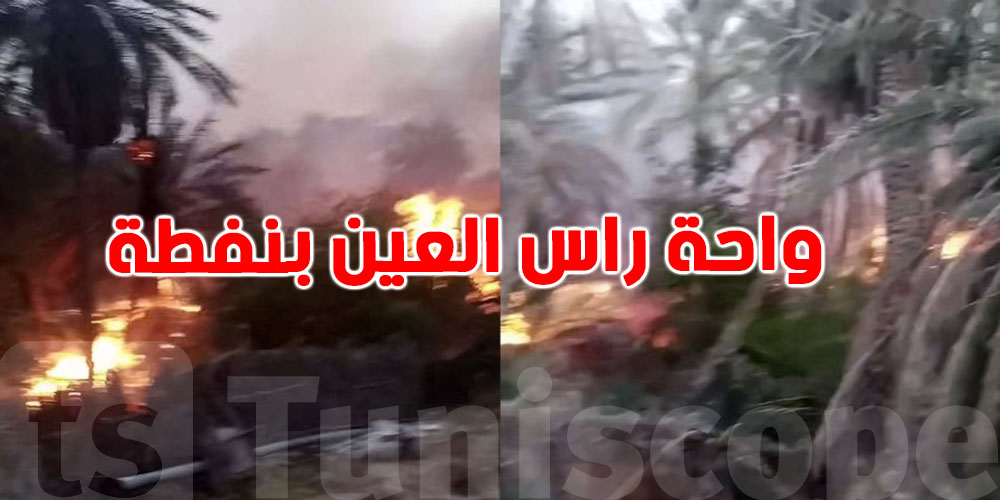 توزر: أسباب مجهولة وراء حريق في واحة رأس العين بنفطة