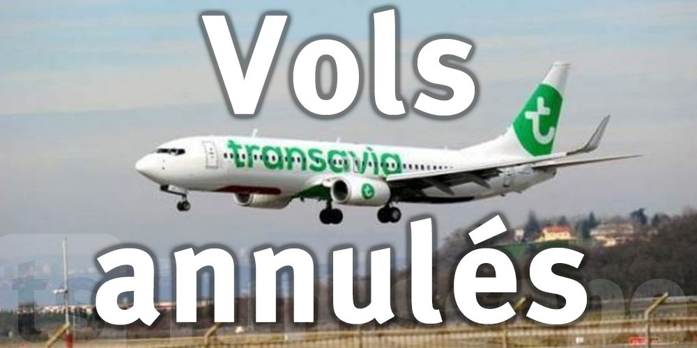 Grève chez Transavia: près d'un vol sur trois annulé ce week-end