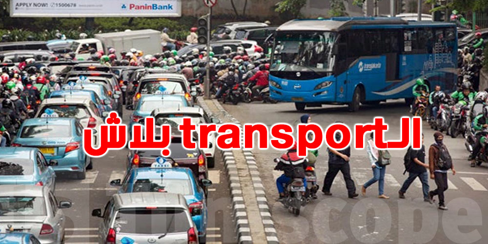بشرى سارة في عيد الفطر: دولة توفر النقل ''بلاش'' لملايين المواطنين!